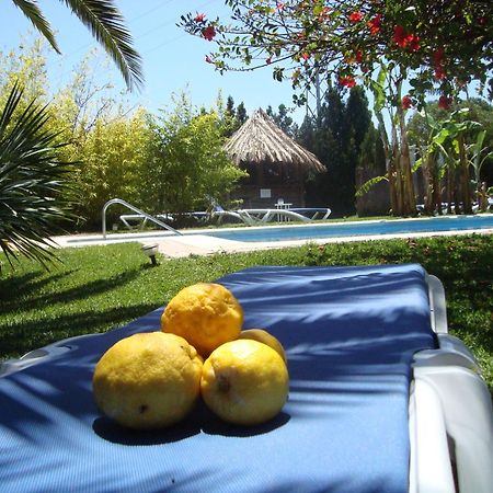 Bungalows Puravida Zahora Eksteriør bilde