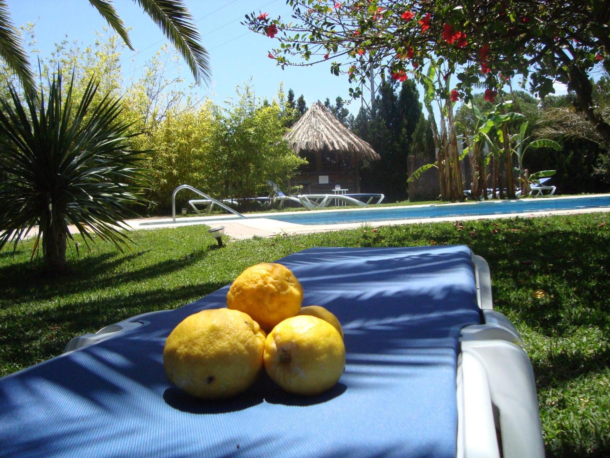 Bungalows Puravida Zahora Eksteriør bilde